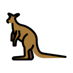 Kangaroo