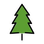 Evergreen Tree