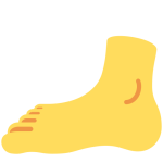 Foot