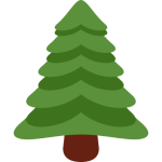 Evergreen Tree