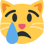 Crying Cat