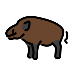 Boar