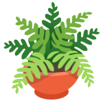 Potted Plant