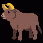 Ox