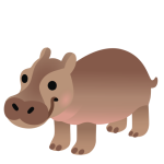 Hippopotamus