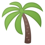 Palm Tree