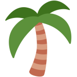 Palm Tree