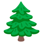 Evergreen Tree