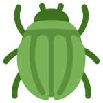 Beetle