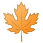 Maple Leaf