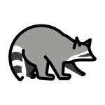 Raccoon