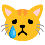 Crying Cat