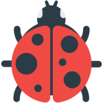 Lady Beetle