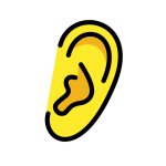 Ear