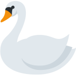 Swan