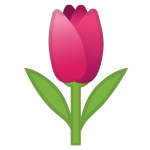 Tulip