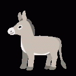 Donkey