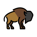 Bison