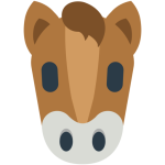 Horse Face