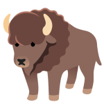 Bison