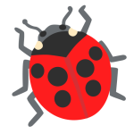 Lady Beetle