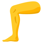 Leg