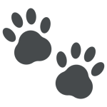 Paw Prints