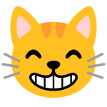 Grinning Cat With Smiling Eyes