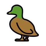 Duck