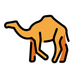 Camel