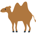 Two-Hump Camel