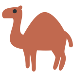 Camel