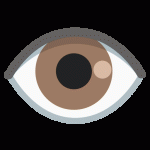 Eye