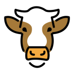 Cow Face