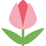 Tulip