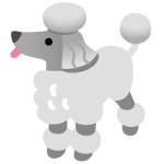 Poodle