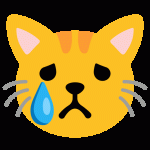 Crying Cat