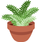 Potted Plant