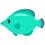 Tropical Fish