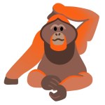 Orangutan