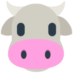 Cow Face