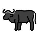 Water Buffalo