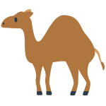 Camel