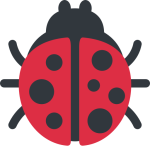 Lady Beetle