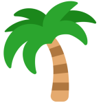 Palm Tree