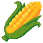 Ear Of Corn