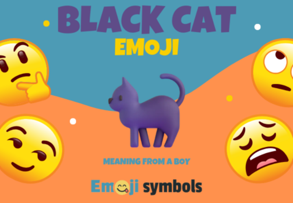 black cat emoji from boy