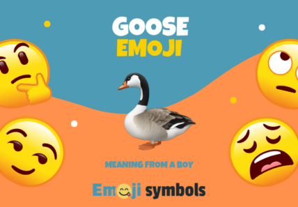 goose emoji from boy