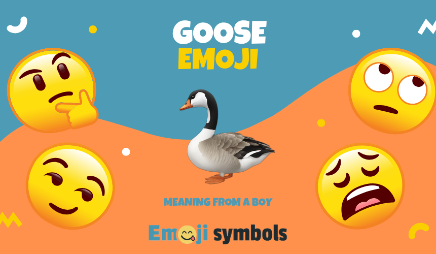 goose emoji from boy