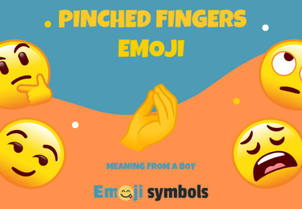 pinched fingers emoji from boy